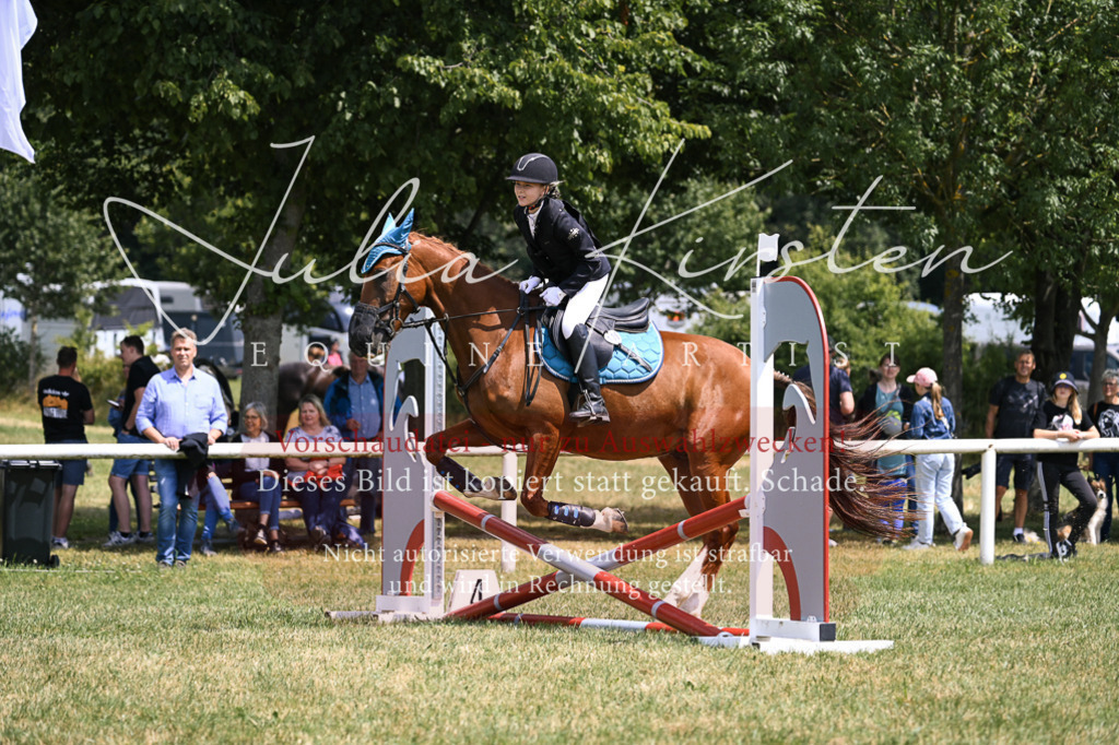 DSC_9263 | Pferde- und Turnierfotografie in Westsachsen. Pferdeportraits, Auftragszeichnungen und intuitive Kunst.