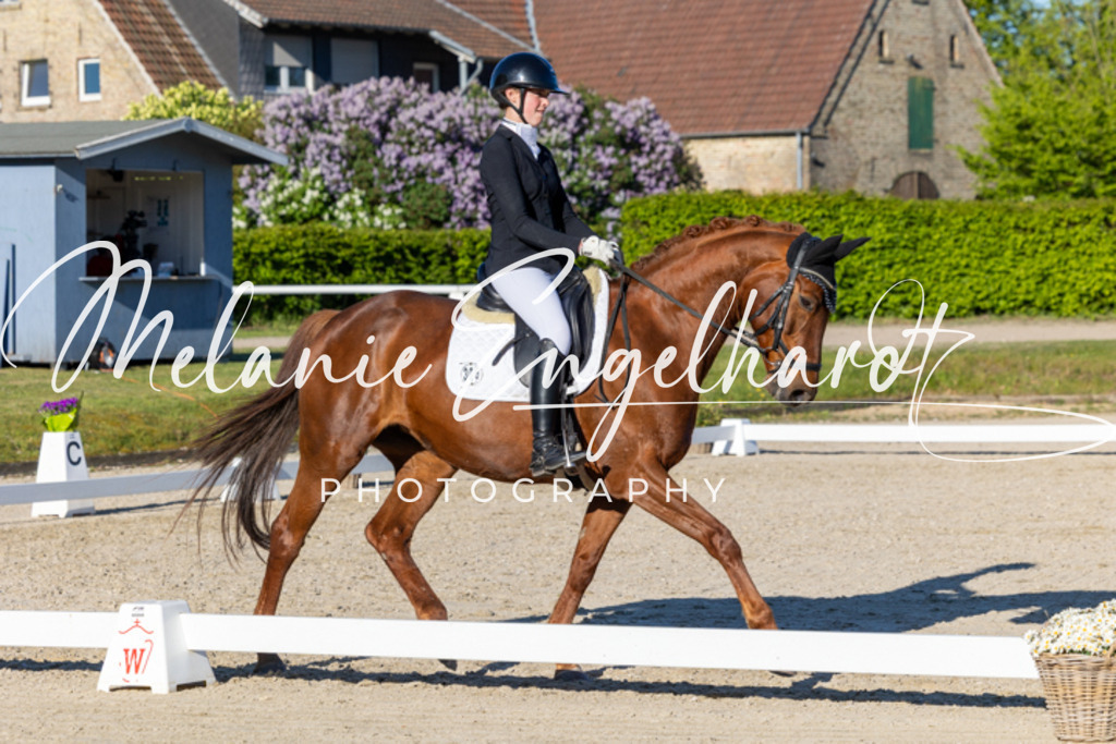 7I8A8336 | melanie-engelhardt-photography - Realisiert mit Pictrs.com