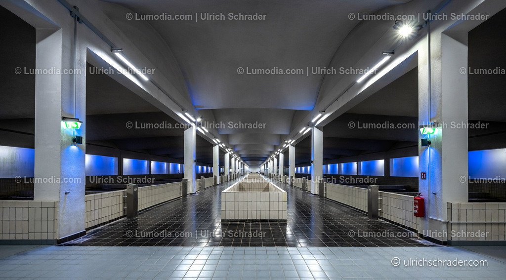 _ulrichschrader.com-216 | Stockfoto und Bilderpool mit Bildmaterial aus Deutschland, dem Harz, Halberstadt, Quedlinburg, Wernigerode und weltweit. Qualitativ hochwertige und professionelle Fotos anschauen und kaufen. - Realisiert mit Pictrs.com