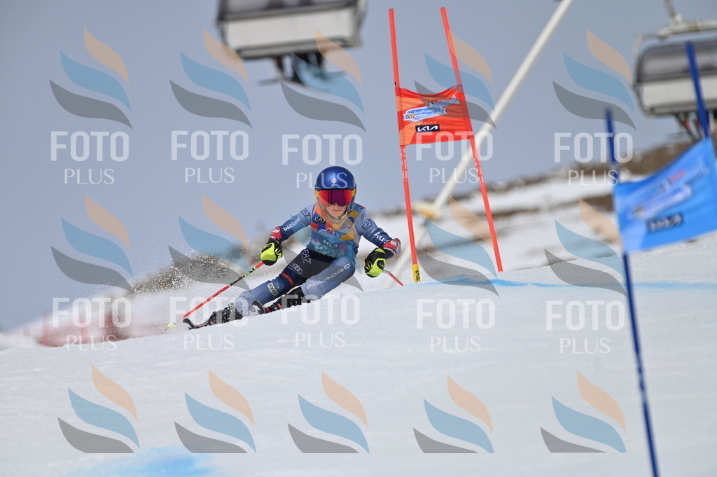 BGV_4473 | holidayphoto