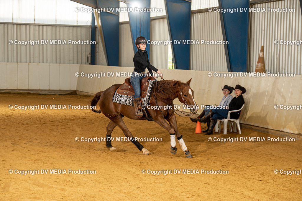 MIT00241 | dv-media-shop - Realisiert mit Pictrs.com