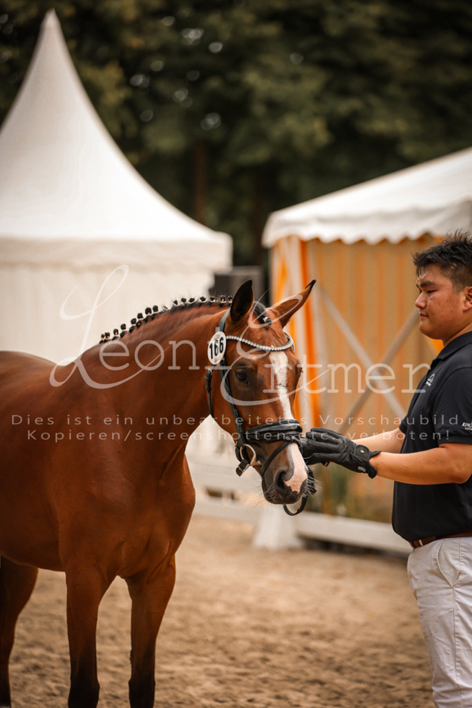 11.So00109 | Leoni Ertmer Photography - Realisiert mit Pictrs.com