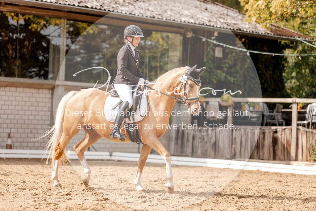 3I6A4358 | Stimmungsvolle Portraits und Reitsportfotografie im Ruhrgebiet und im Münsterland.

Pferdefotografie, Hundefotografie, Tierfotografie, Reportagen, Portraits von Tier und Mensch, Turnierfotografie in Bochum, Recklinghausen, Marl, Haltern am See, Dülmen.. - Realisiert mit Pictrs.com