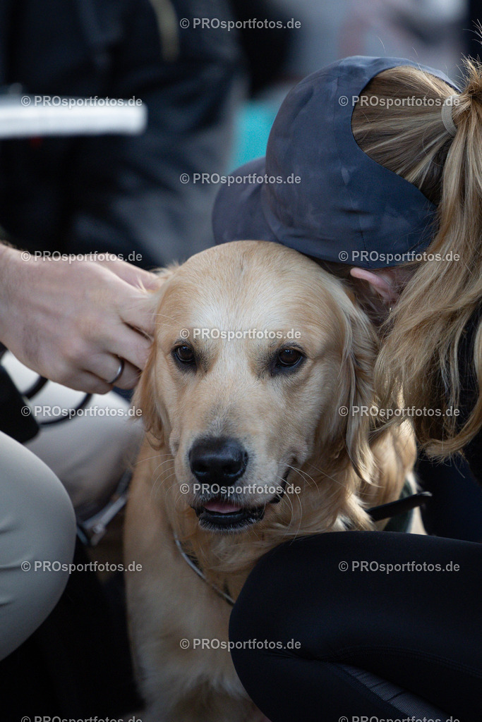20. OBI Nachtlauf des ASV Koeln, 17.05.2023 | Koeln, 17.05.2023: Impressionen vom 20. OBI Nachtlauf des ASV Koeln rund um den Tanzbrunnen. Foto: Beautiful Sports Pressefotoagentur (www.beautiful-sports.com)
