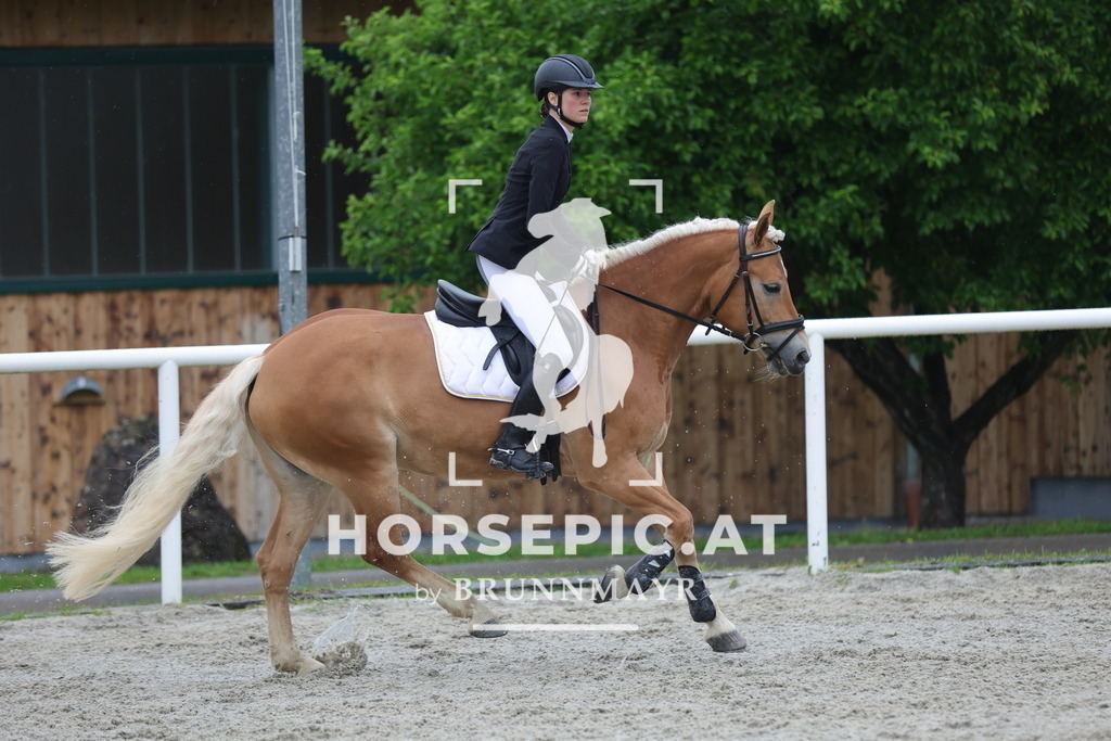 0P6A7946 | Willkommen bei Brunnmayr - Design & Fotografie – Ihrem Spezialisten für Reitturniere und Pferdeveranstaltungen in Oberösterreich, Salzburg und Bayern! Seit über 17 Jahren sind wir leidenschaftlich dabei.
