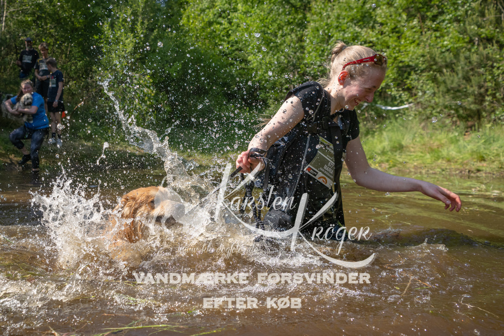 1628DKK990590 | kk-dogfotos