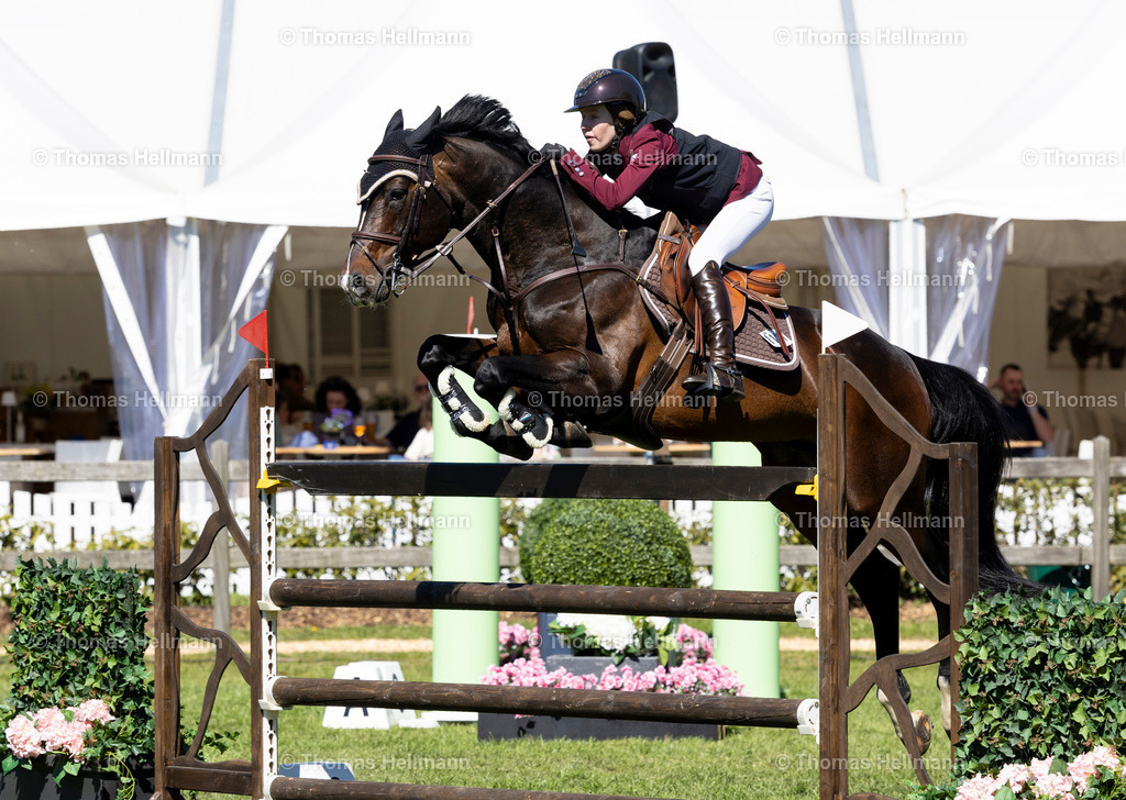 TH_1127 Brianne Beerbaum_ Zenzero 4_37065 | Reitturnier Bremen Oberneuland 2026 am 02.05.26 in Bremen, Thomas Hellmann, 1127 Brianne Beerbaum, Zenzero 4