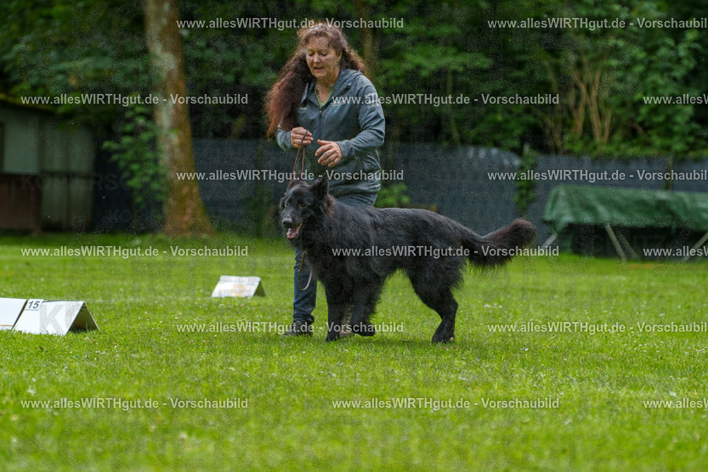 @allesWIRTHgut_Tierfotografie - www.allesWIRTHgut.de - 7R501746 | Professionelle Tierfotografie in Mönchengladbach von Daniel Wirth (allesWIRTHgut). Liebevolle & natürliche Bilder von Hunden & Katzen für unvergessliche Erinnerungen.