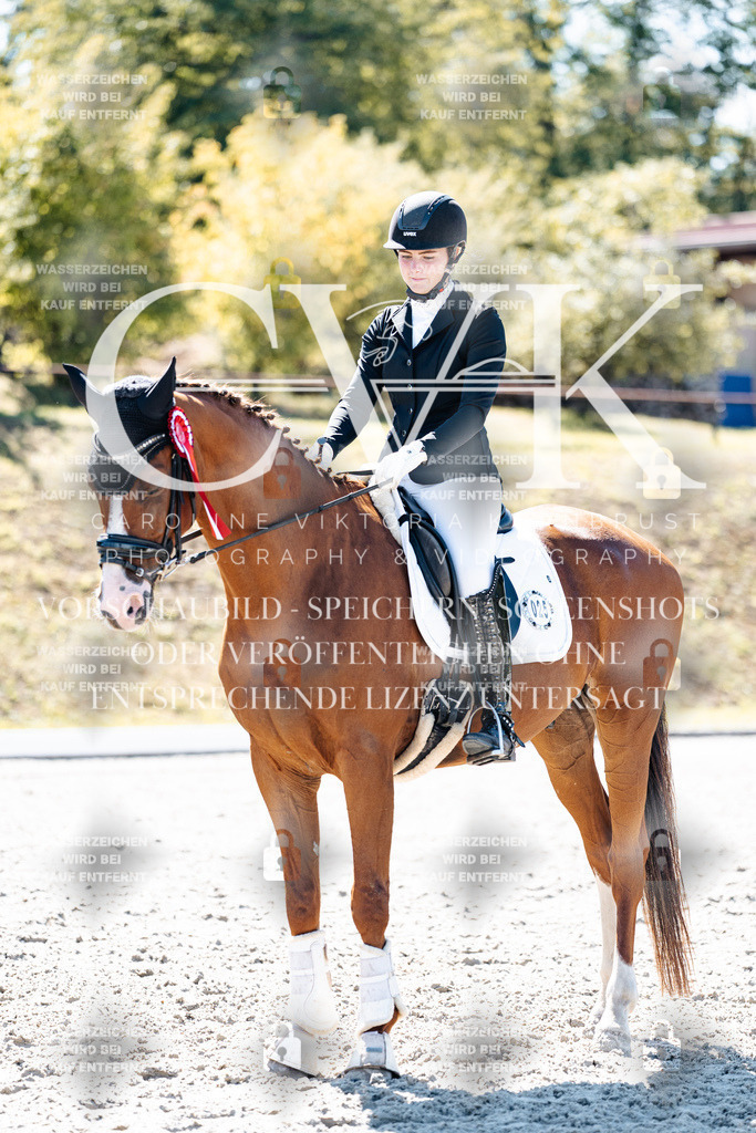 CK909960 | Turnierfotografie Pferdefotografie Trier Rheinland-Pfalz Pferdesport Reitsport Tierfotografie Sportfotografie Pferdevideo Pferdevideografie Equestrianvideography equestrianphotography  - Realisiert mit Pictrs.com