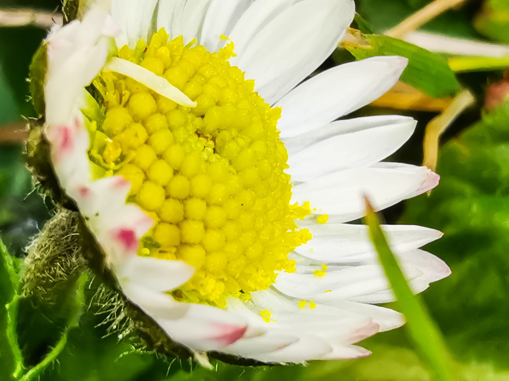 PSX_20230216_224227 | mtkfoto_ - Realisiert mit Pictrs.com