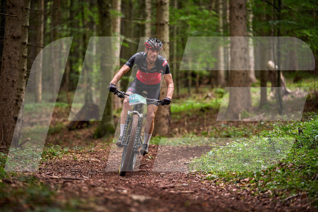 Betriebszentrum Laubenbachmühle, Frankenfels, Österreich - 13. September 2025: Dirndltal Race - Fun und Trophy RaceFotograf: Martin Bihounek / martinbihounek.com | 13. September 2025 Betriebszentrum Laubenbachmühle, Frankenfels, Österreich : Dirndltal Race - Fun und Trophy Race •••••Photo by: Martin Bihounek / martinbihounek.comInsta: @martinbihounekcom