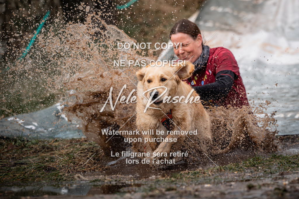 nelerasche_1330-1400_221 | nelerasche