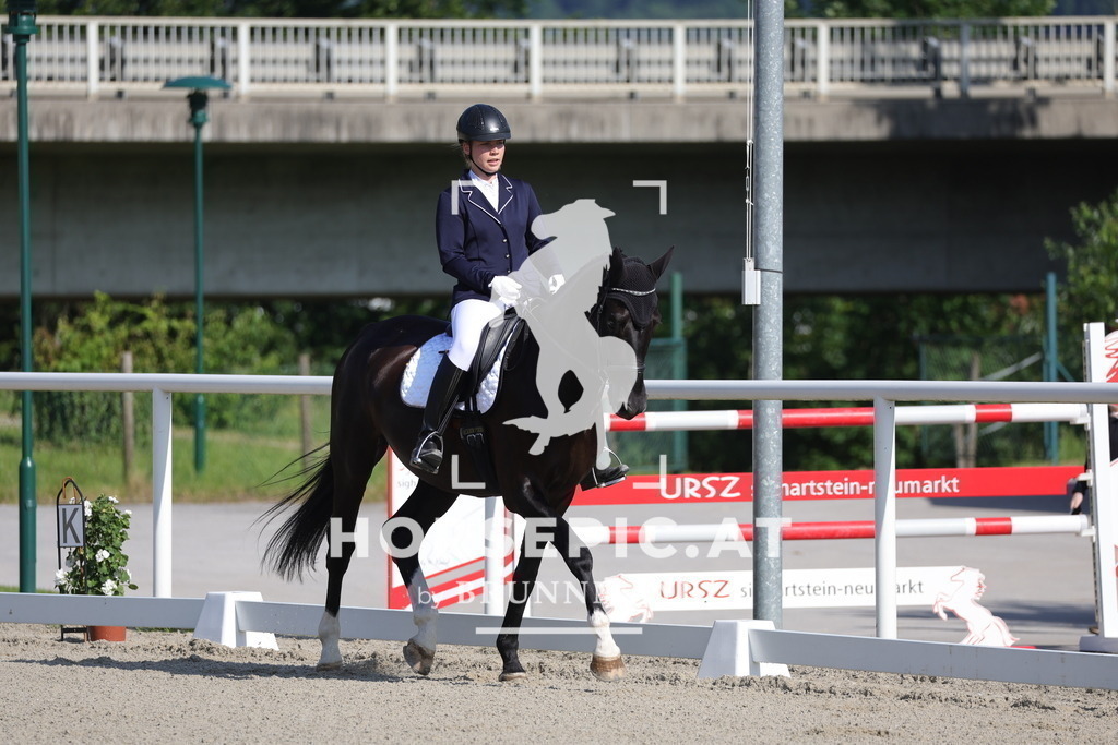 0P6A9659 | Willkommen bei Brunnmayr - Design & Fotografie – Ihrem Spezialisten für Reitturniere und Pferdeveranstaltungen in Oberösterreich, Salzburg und Bayern! Seit über 17 Jahren sind wir leidenschaftlich dabei.