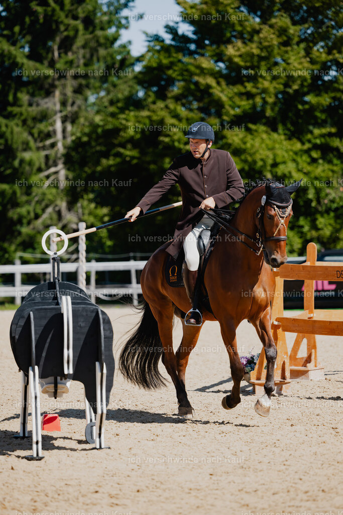 Gernot25_FHC2025-27006 | working equitationturnier fotograf videograf stoibphotography marixx film working equitation deutschland reitsport turnierfotografie eventfotografie equestrian events