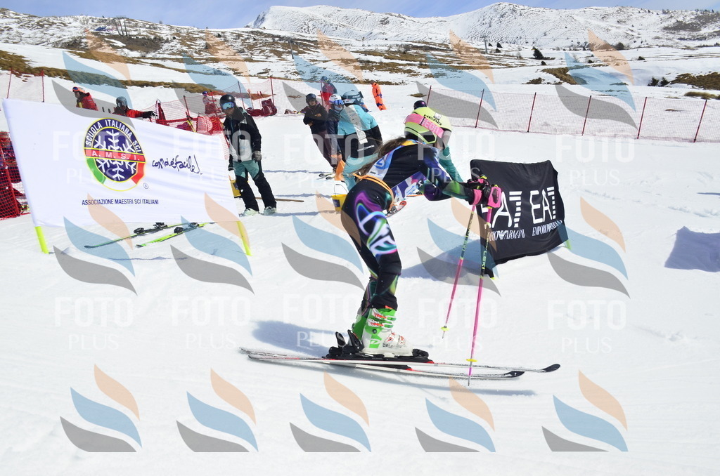 _ELE1232 | holidayphoto