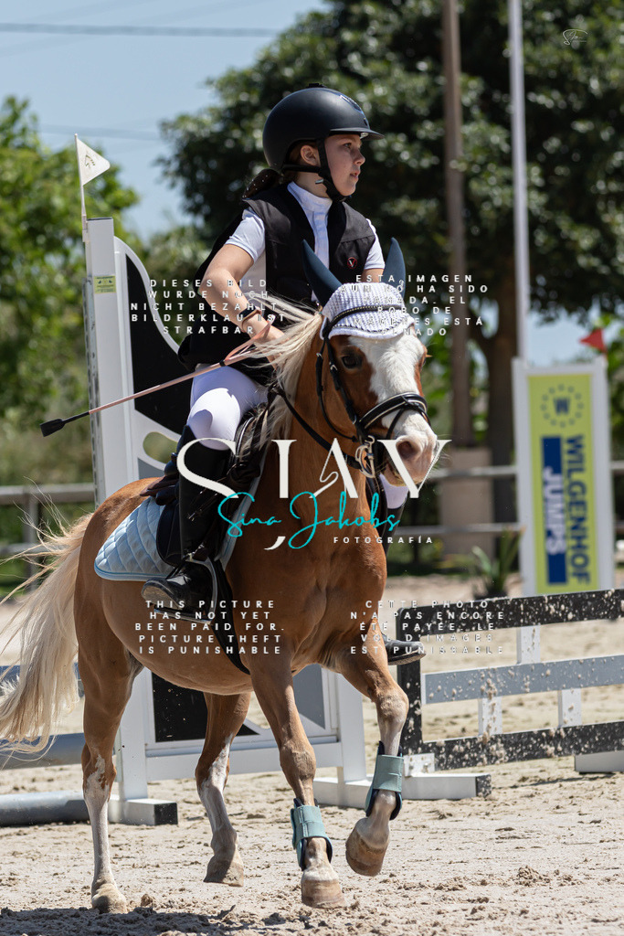 IMG_0322 | s-jay-photography - Realisiert mit Pictrs.com