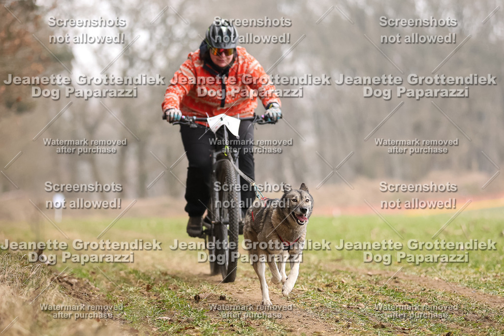 Dog Paparazzi - Plate 2026-62 | Dog Paparazzi Jeanette Grottendiek Fotografie & Videografie - Realisiert mit Pictrs.com