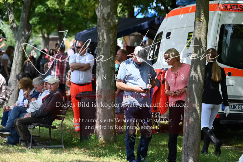 DSC_9494 | Pferde- und Turnierfotografie in Westsachsen. Pferdeportraits, Auftragszeichnungen und intuitive Kunst.