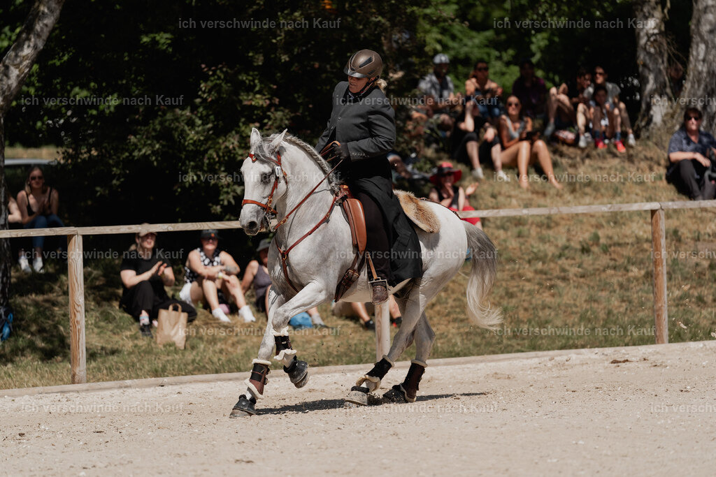 WE_SP_Stoib_321_PI2025_1603 | Pferd International München 2025