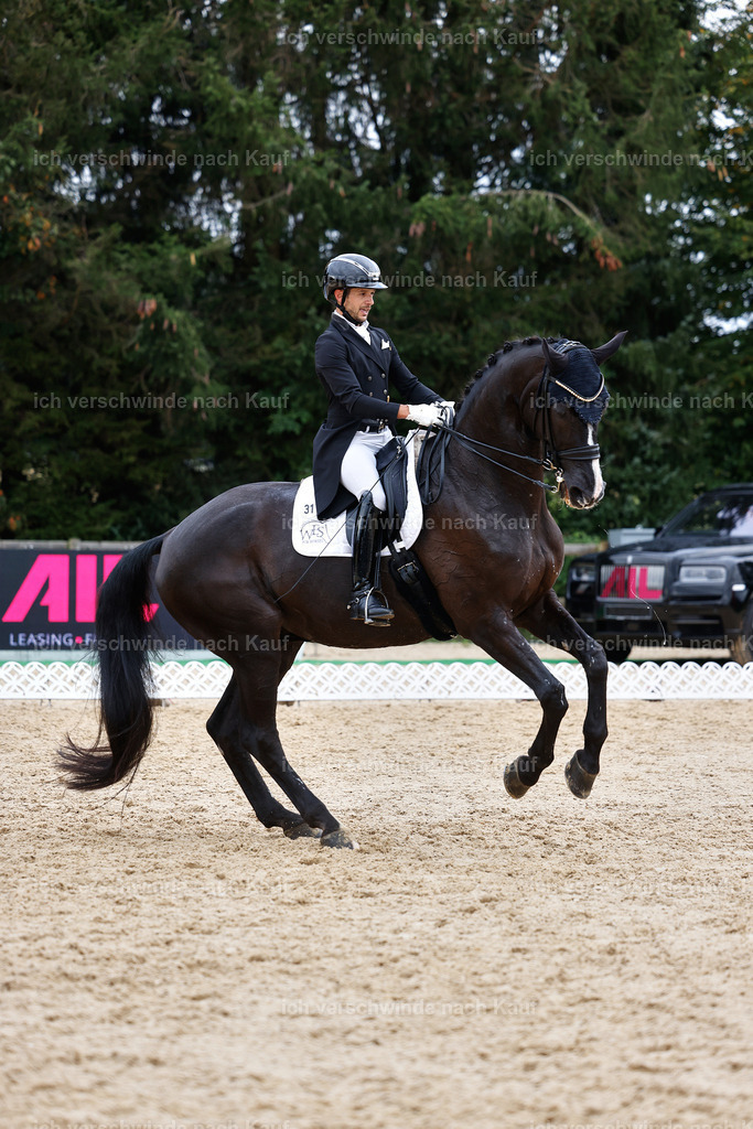 12-031-DRESSUR  S___  -StoibPH-5323 | working equitationturnier fotograf videograf stoibphotography marixx film working equitation deutschland reitsport turnierfotografie eventfotografie equestrian events