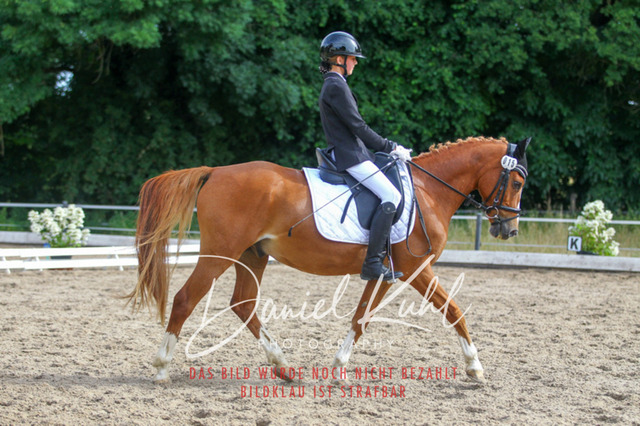 DKP45834 | Turniersportfotografie; Pferdefotografie; Dressurfotografie