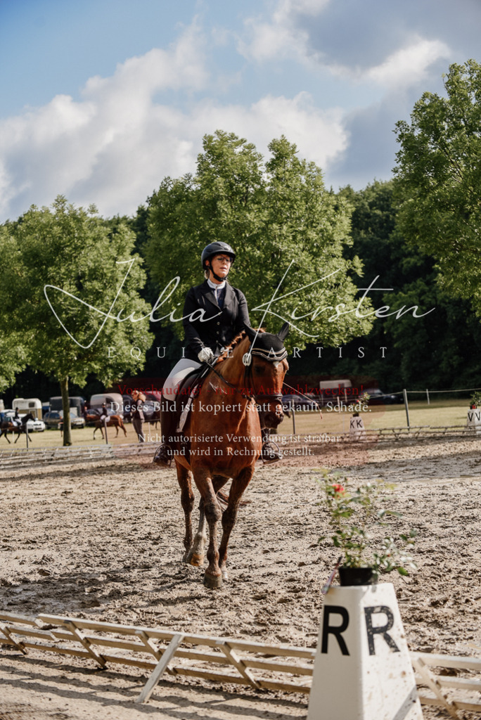 DSC_8921 | Pferde- und Turnierfotografie in Westsachsen. Pferdeportraits, Auftragszeichnungen und intuitive Kunst.