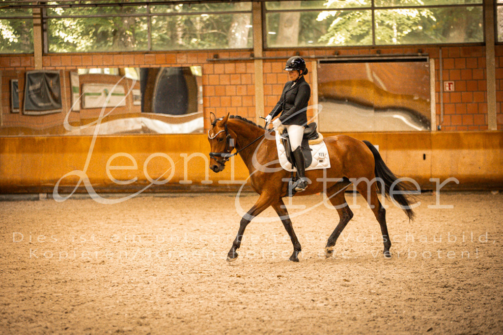 2Reiten00255 | Leoni Ertmer Photography - Realisiert mit Pictrs.com