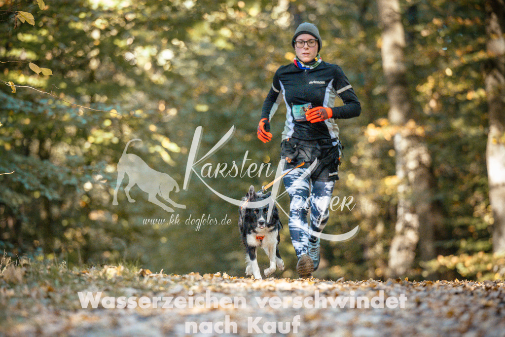 1102_ZZ91398 | kk-dogfotos