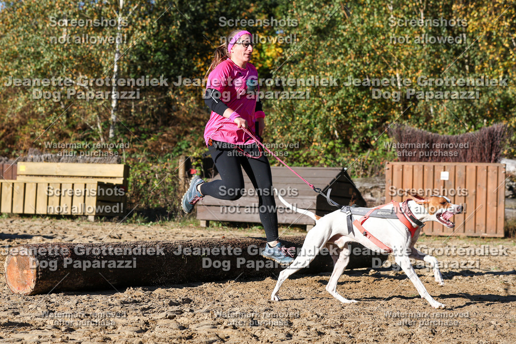 Dog Paparazzi - Strongdog 10-25-1947 | Dog Paparazzi Jeanette Grottendiek Fotografie & Videografie - Realisiert mit Pictrs.com