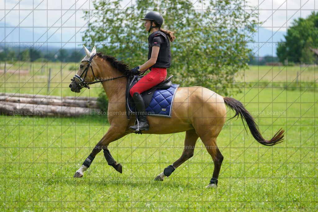 20240622-FAH07460 | Turnierfotografen Bayern, Reitsportbilder aus dem Geländekurs mit Felix Etzel auf dem Gut Waitzacker 2024