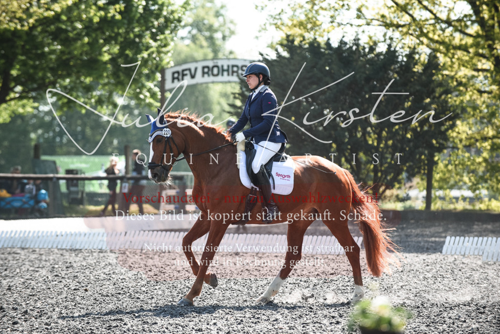 DSC_8871 | Pferde- und Turnierfotografie in Westsachsen. Pferdeportraits, Auftragszeichnungen und intuitive Kunst.