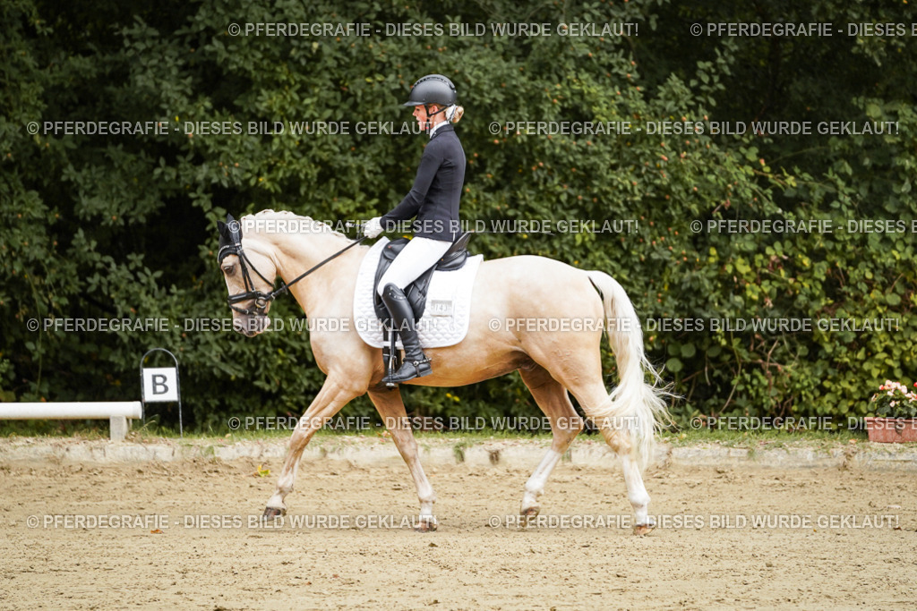 DSC08488 | Pferdegrafie