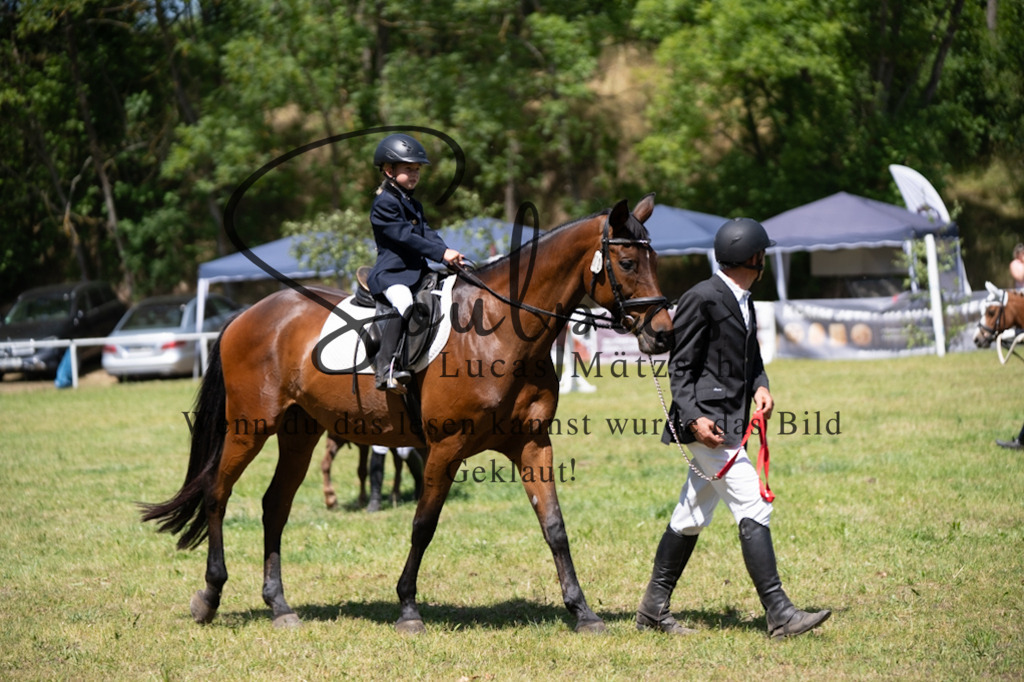 A7V06248 | Pferdefotograf