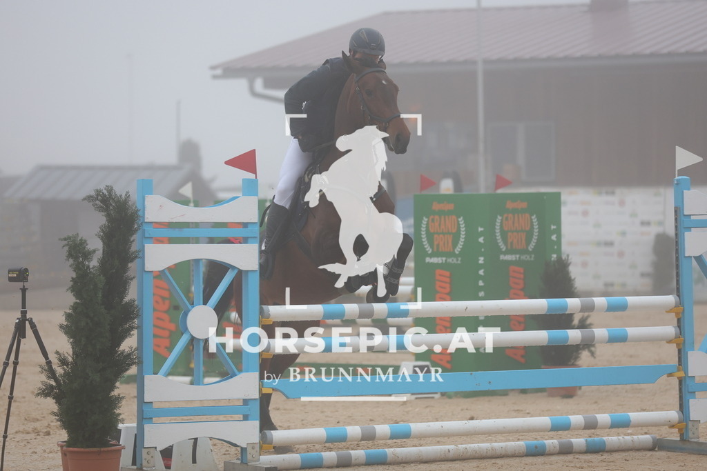 0P6A7866 | Willkommen bei Brunnmayr - Design & Fotografie – Ihrem Spezialisten für Reitturniere und Pferdeveranstaltungen in Oberösterreich, Salzburg und Bayern! Seit über 17 Jahren sind wir leidenschaftlich dabei.