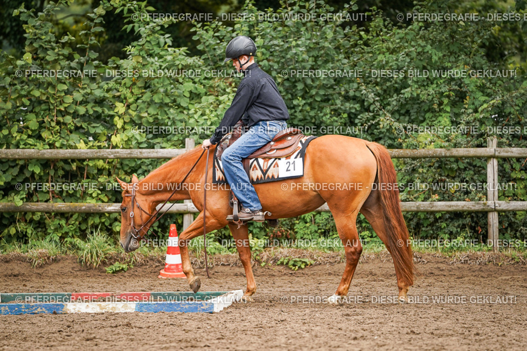 DSC03479 | Pferdegrafie