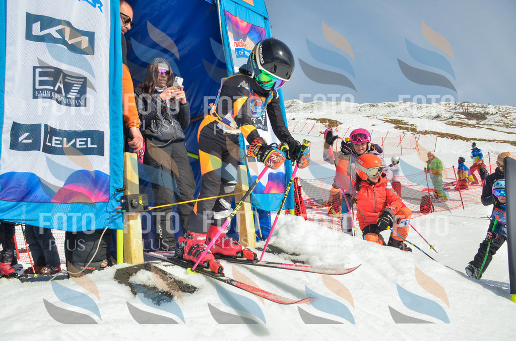 _ELE4830 | holidayphoto