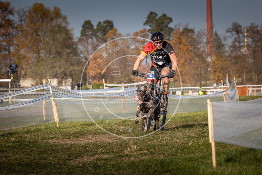 CaniXpix_0L8A7018 | Hundefotografie, Tierfotograf, Pfotenfotografie, Fotoshooting Hund, Hunde Portrait, Hundesport, Hundeportraits, Heideshooting, Hunde, Sportfotograf, Hundefotograf, Turnierhundsport, THS,  - Realisiert mit Pictrs.com