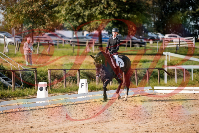 2026_10_03_Siefer-Hof_115458_Z63_30245280 | Professionelle Reitsport-, Turnier- und Eventfotografie von Robert Broda. Galerien mit ausgewählten und bearbeiteten Bildern direkt online ansehen und bestellen.
