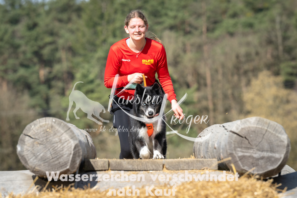 1026_ZZ91590 | kk-dogfotos