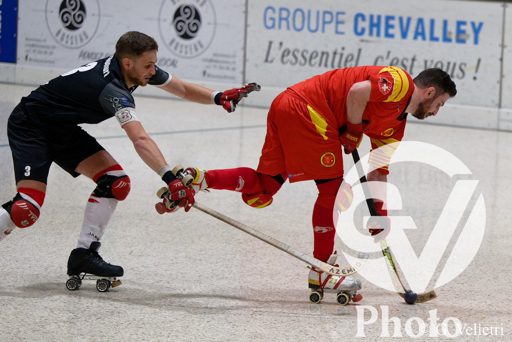 DSC_8947 | Velletri Photo