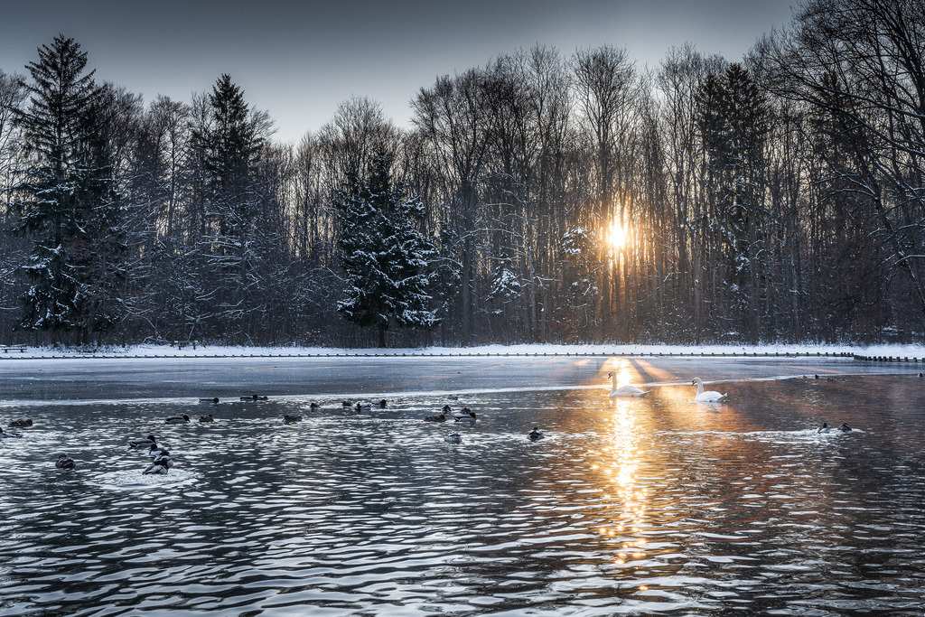 K-12 | Online Shop für Stock Fotos aus Augsburg und der ganzen Welt.
Europa, Seychellen, Island, Korsika, Sardinien, Griechenland, Deutschland,... - Realisiert mit Pictrs.com