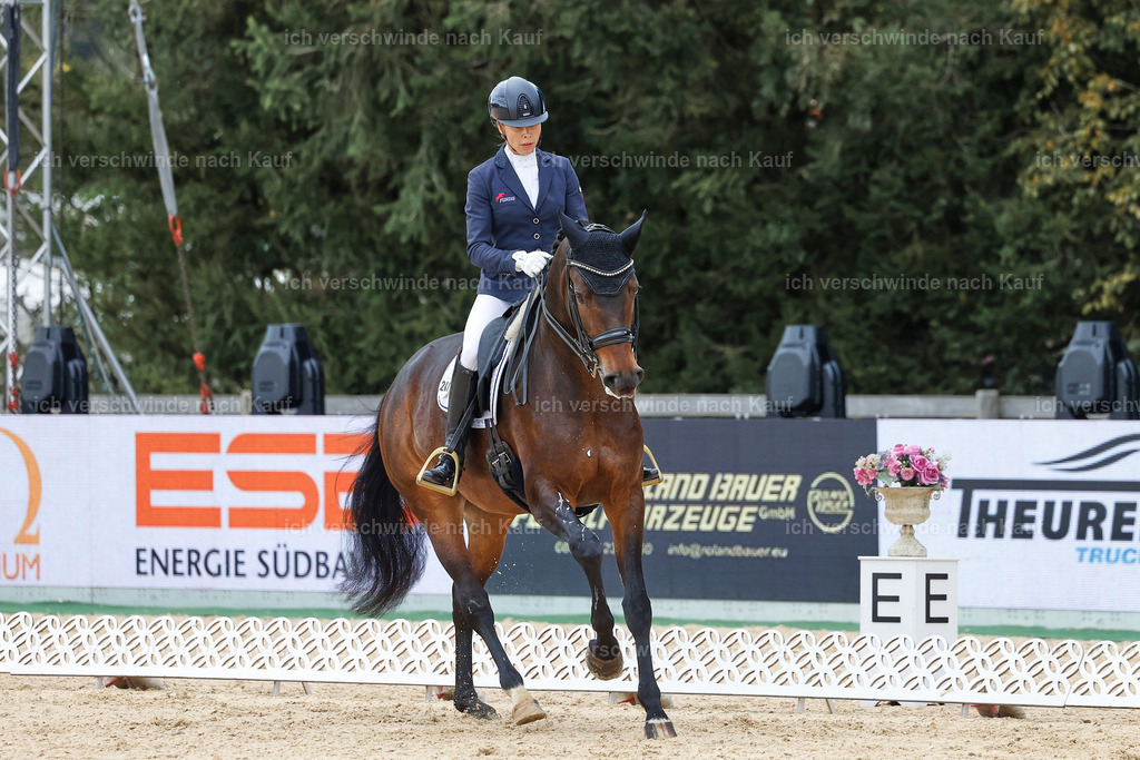 3-241-Dressur M_-StoibPH-2341 | working equitationturnier fotograf videograf stoibphotography marixx film working equitation deutschland reitsport turnierfotografie eventfotografie equestrian events