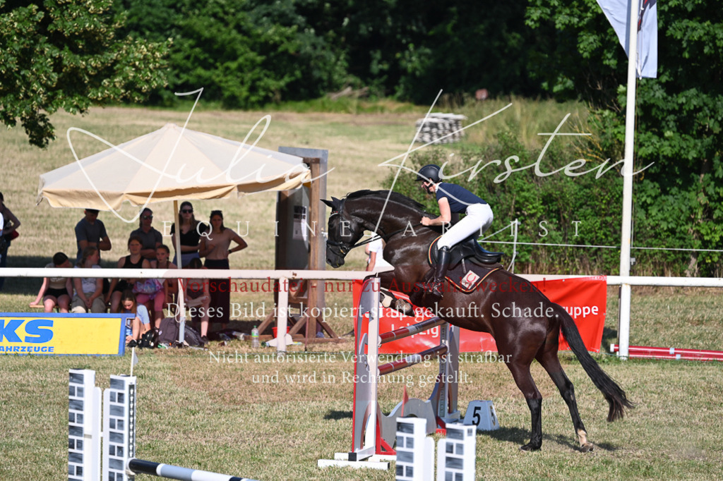 DSC_2541 | Pferde- und Turnierfotografie in Westsachsen. Pferdeportraits, Auftragszeichnungen und intuitive Kunst.