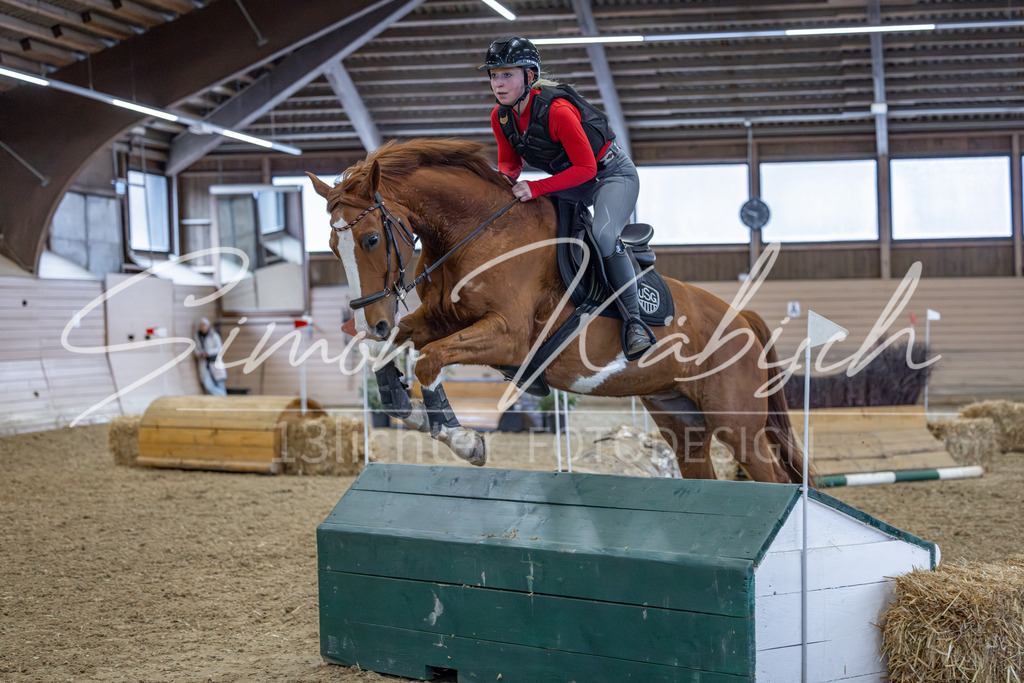 20260221-_3LI9167 | Tierfotografie Pferde, Hunde, Katzen, Haustiere.
Turnierfotografie Reitturniere, Reiten, Springreiten, Dressur in Hanau, dem Main-Kinzig-Kreis und dem Rhein-Main- Gebiet um Frankfurt