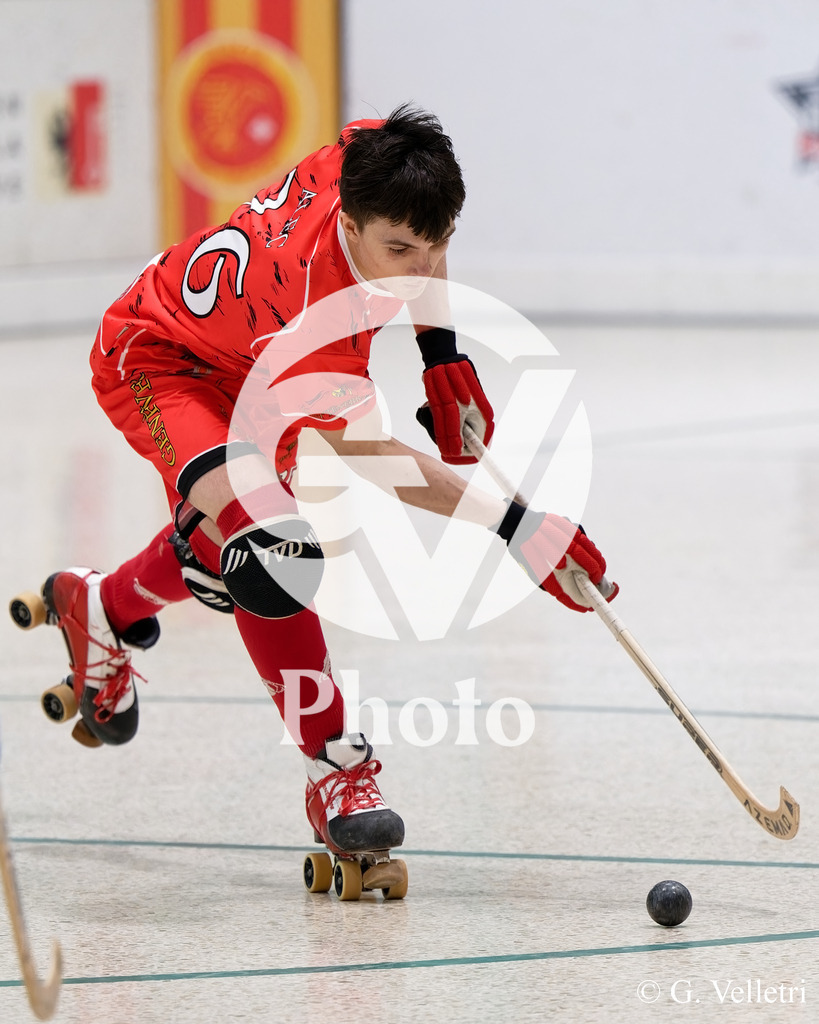 DSC_5703 | Velletri Photo