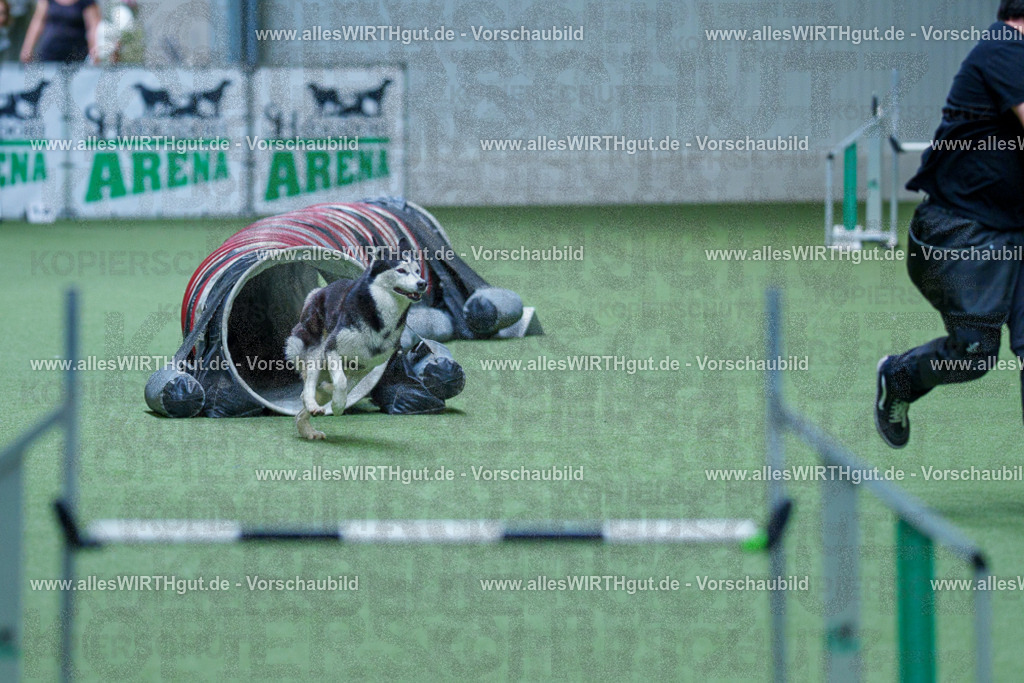 @allesWIRTHgut_Tierfotografie - www.allesWIRTHgut.de - 2604251520-7R505801 | Professionelle Tierfotografie in Mönchengladbach von Daniel Wirth (allesWIRTHgut). Liebevolle & natürliche Bilder von Hunden & Katzen für unvergessliche Erinnerungen.