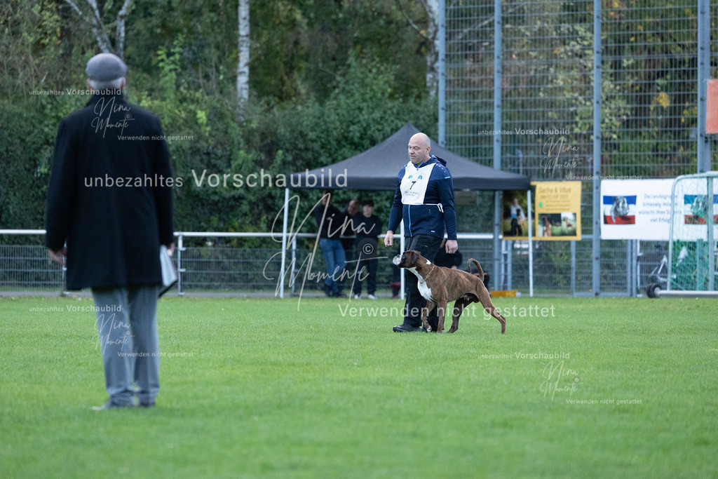 _16A4484 | Einzigartige Fotos von Hunden & Menschen –Actionfotos, Portraits, Vereinsaufnahmen & Paarshootings – authentisch, lebendig & mit Herz.