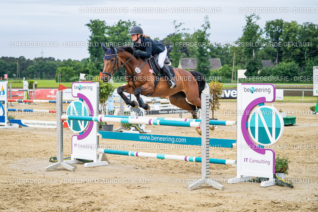 DSC04947 | Pferdegrafie