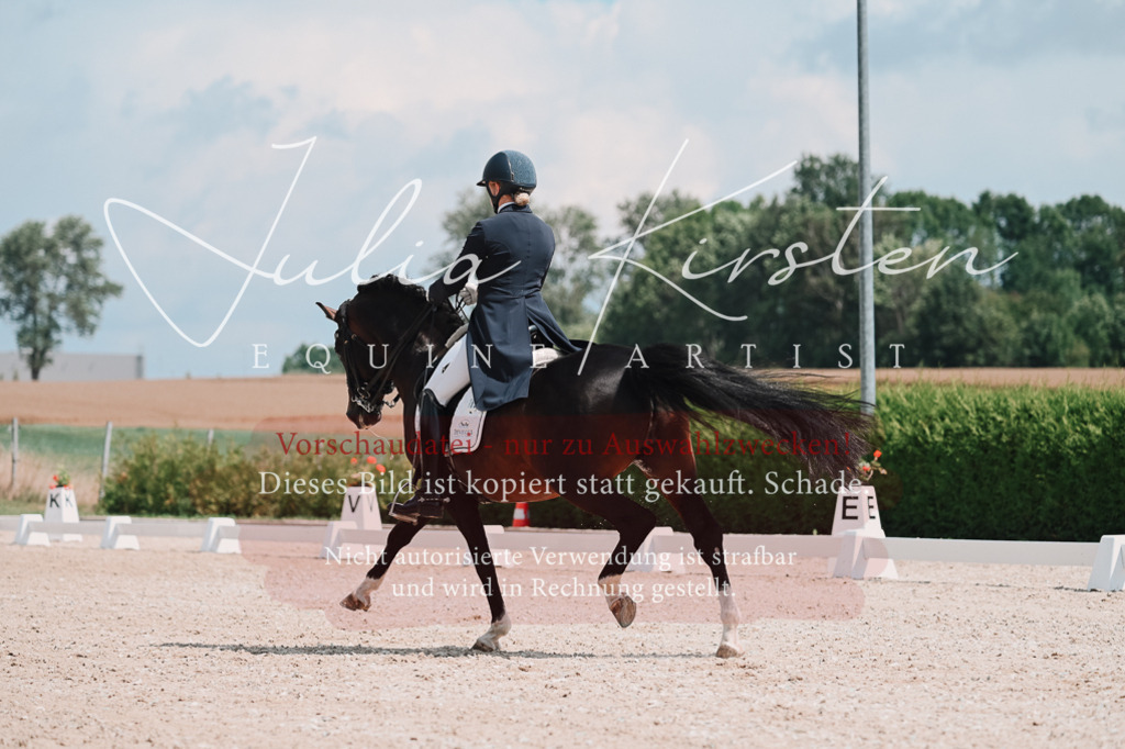DSC_3919 | Pferde- und Turnierfotografie in Westsachsen. Pferdeportraits, Auftragszeichnungen und intuitive Kunst.