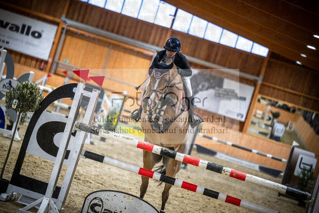 DOS_2535 | Entdecke hochwertige Reitturnierfotos von Foto Oger. Professionell, emotional und authentisch – jetzt Lieblingsmomente im Shop bestellen.Deutschlandweite Turnierfotografie. - Realisiert mit Pictrs.com